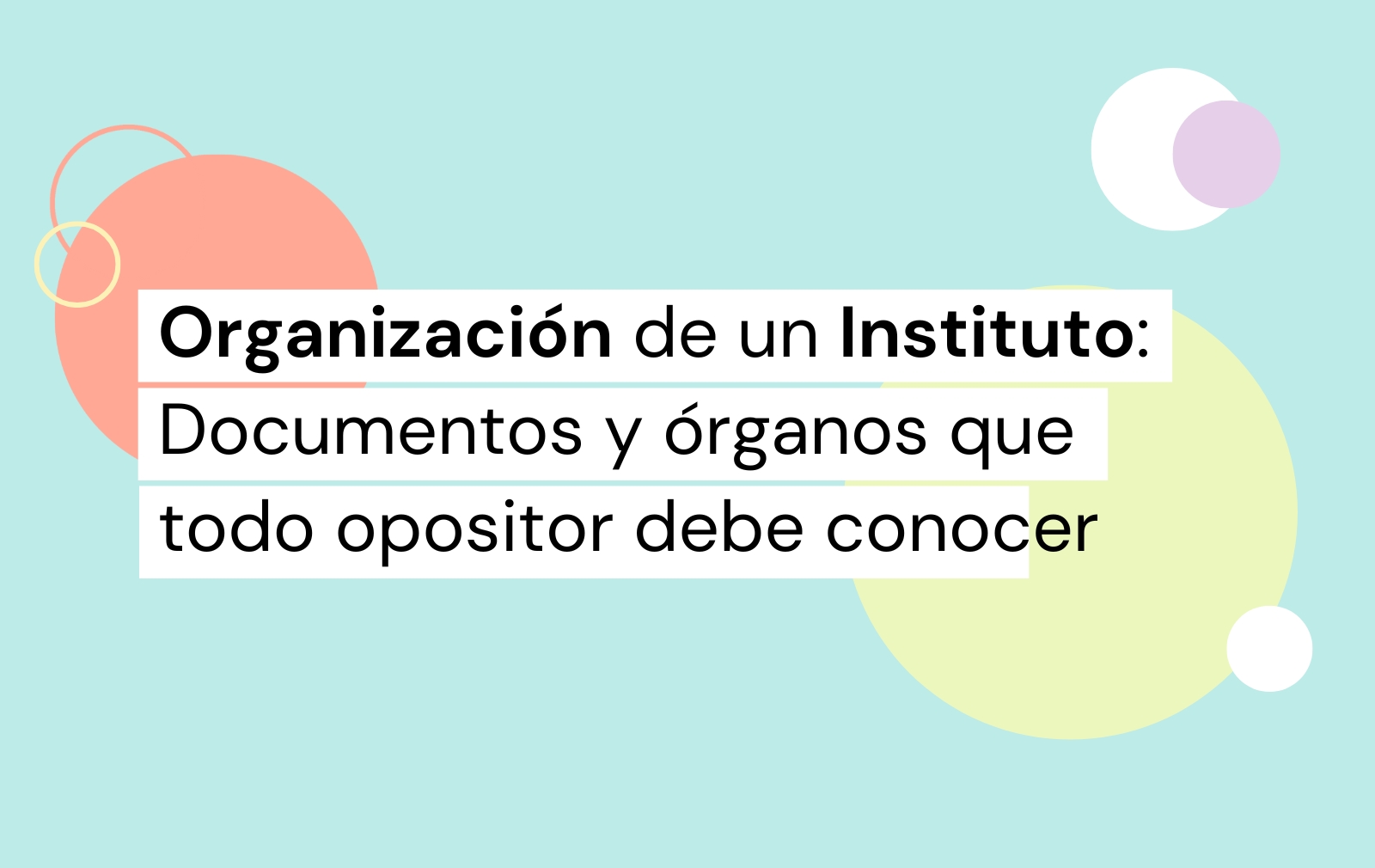 Organización de un Instituto